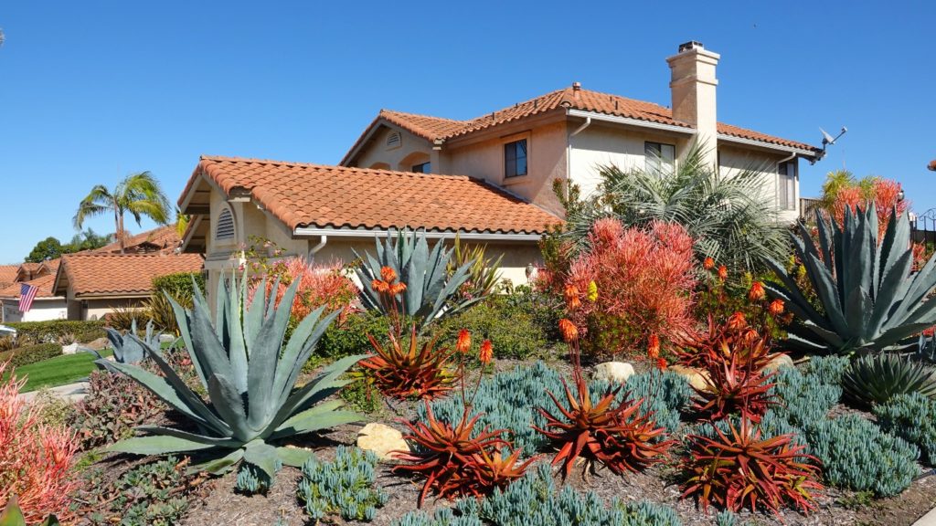 desert landscaping ideas