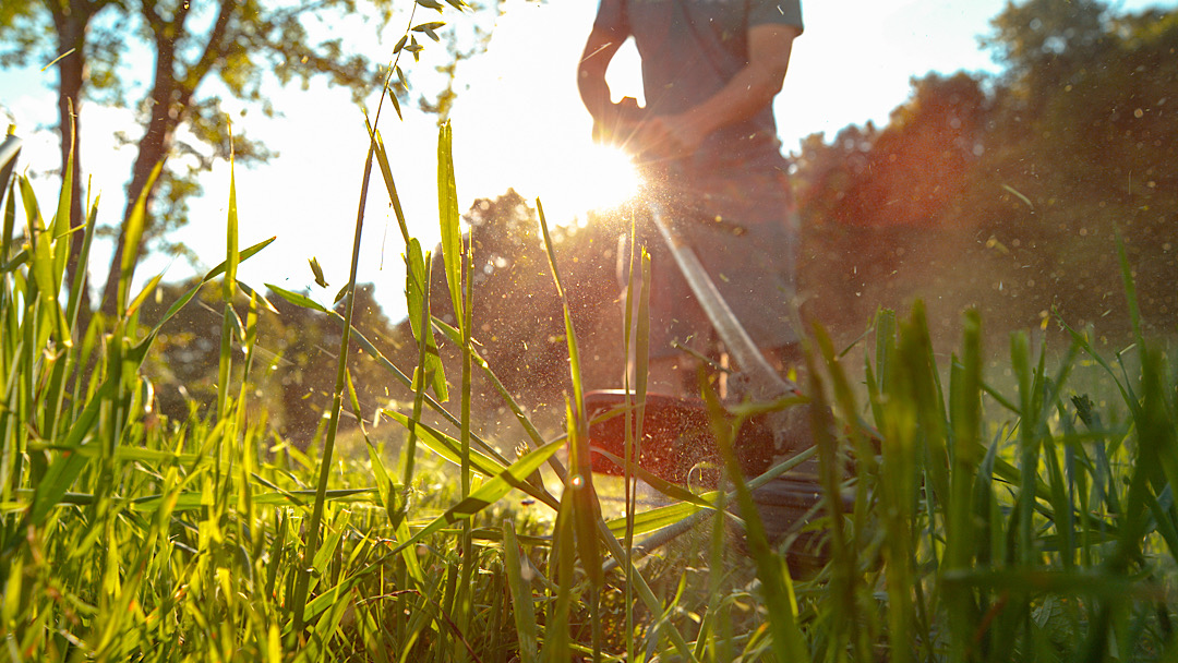 Essential Landscaping Maintenance for Spring: Enhancing Beauty and Value in Castle Rock