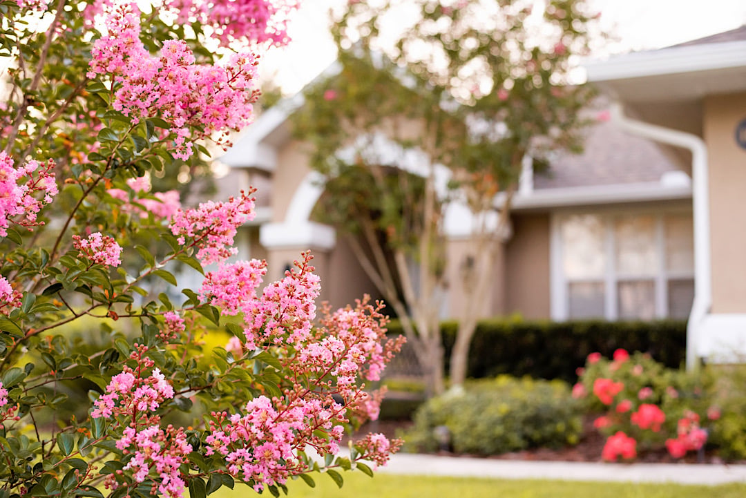 Spring Landscaping Trends in Castle Rock: What’s Popular This Season?
