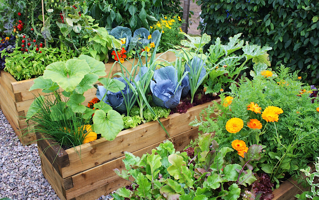 Summer landscaping trends, 2024 landscaping, modern yard ideas