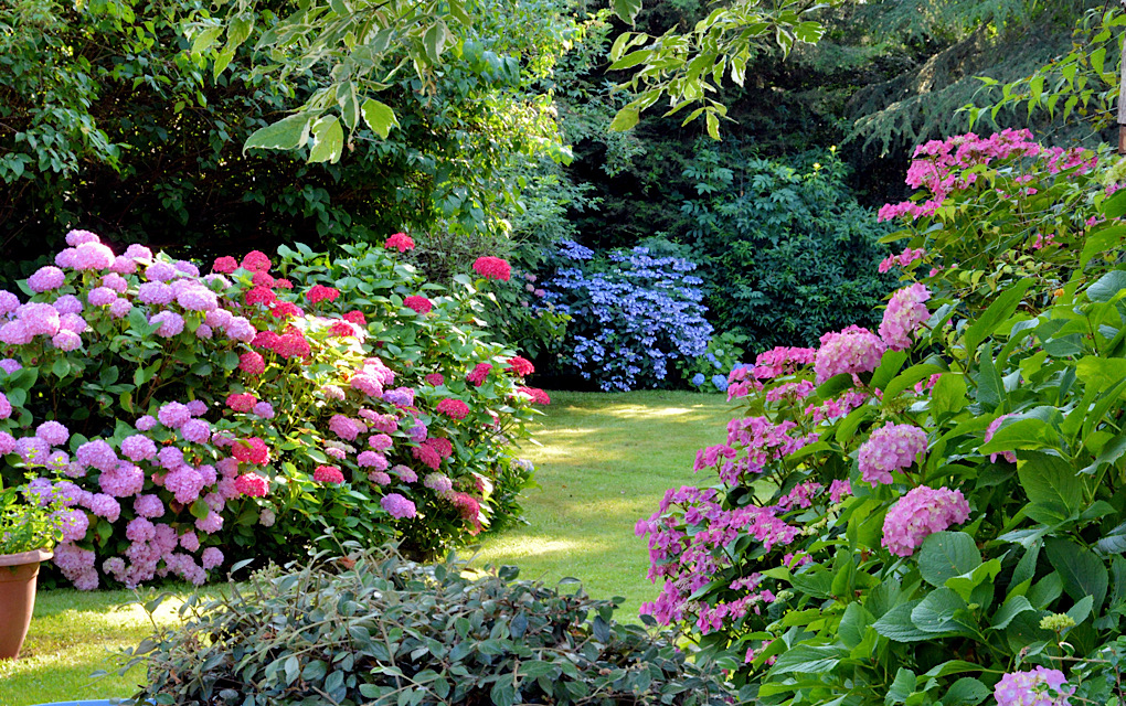 How to Choose the Right Plants for Your Landscape