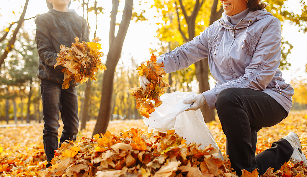 Fall Landscaping Tips for a Beautiful Yard in Castle Rock, CO