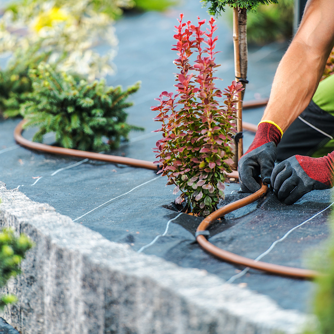 Water-Efficient Irrigation Systems: Save Money and the Environment