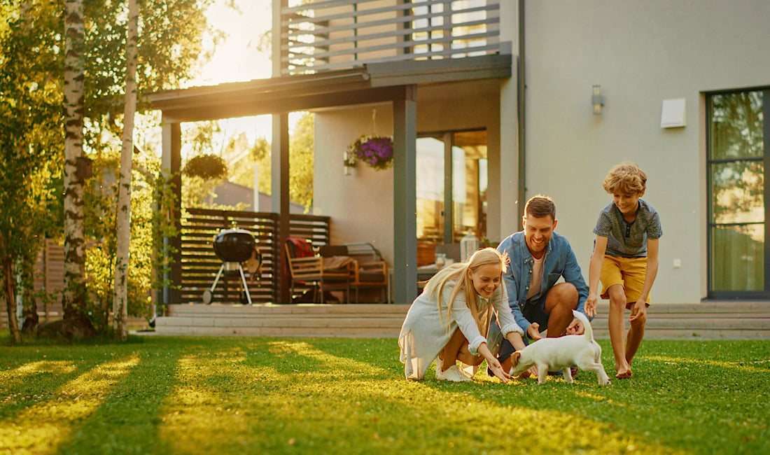Creating a Family-Friendly Backyard: Play Areas, Gardens & More