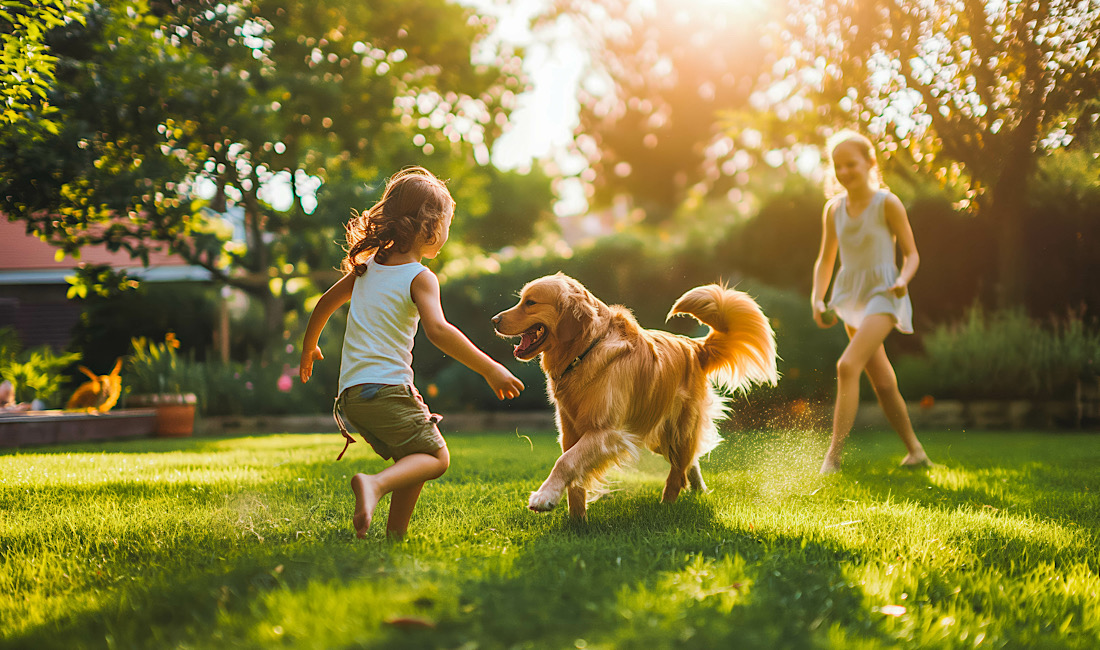 Pet-Friendly Landscaping Ideas for Castle Rock Homeowners